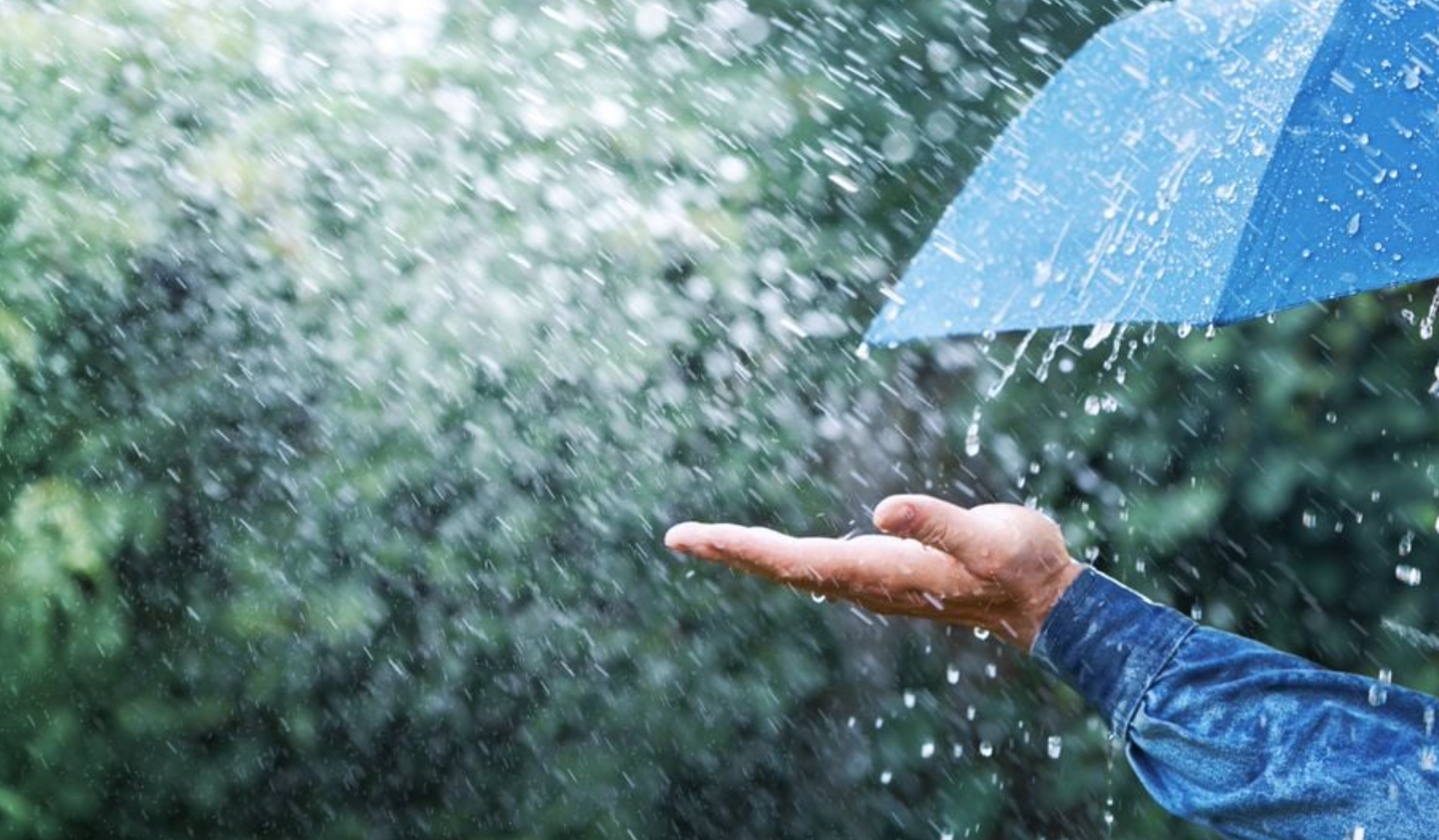 ¿Cuando empezará la temporada de lluvia en CDMX 2024?